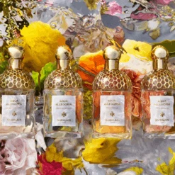 Guerlain Aqua Allegoria Pamplelune Eau De Toilette Women's Perfume Spray (125ml) -Hugo Boss Shop guerlain women s perfume guerlain aqua allegoria pamplelune eau de toilette women s perfume spray 75ml 125ml 36543948751007