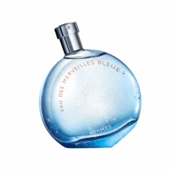 Hermès Hermes Eau Des Merveilles Bleue Eau De Toilette Women's Perfume Spray (50ml)