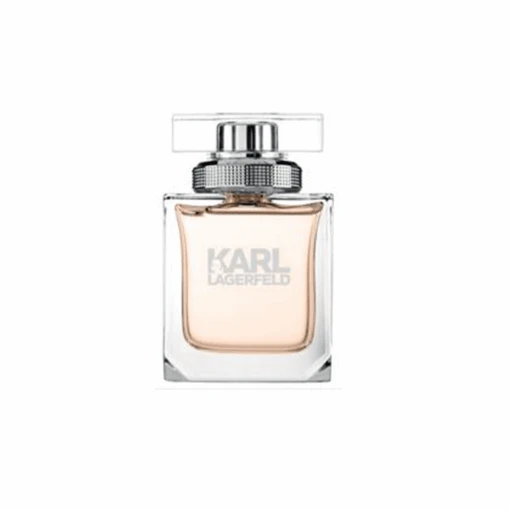 Karl Lagerfeld Femme Eau De Parfum Women's Perfume Spray (45ml, 85ml)