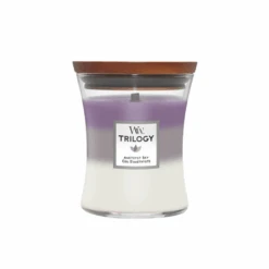 Woodwick Trilogy Amethyst Sky Medium Jar Candle